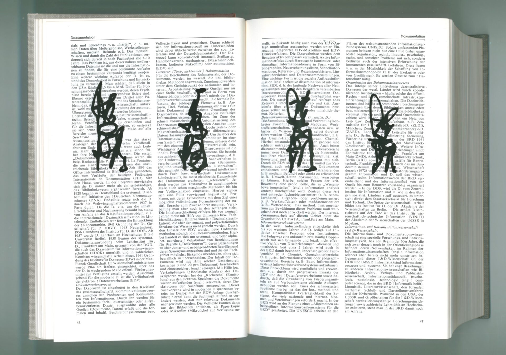 2023-08-11-20-0-22-01 (2)