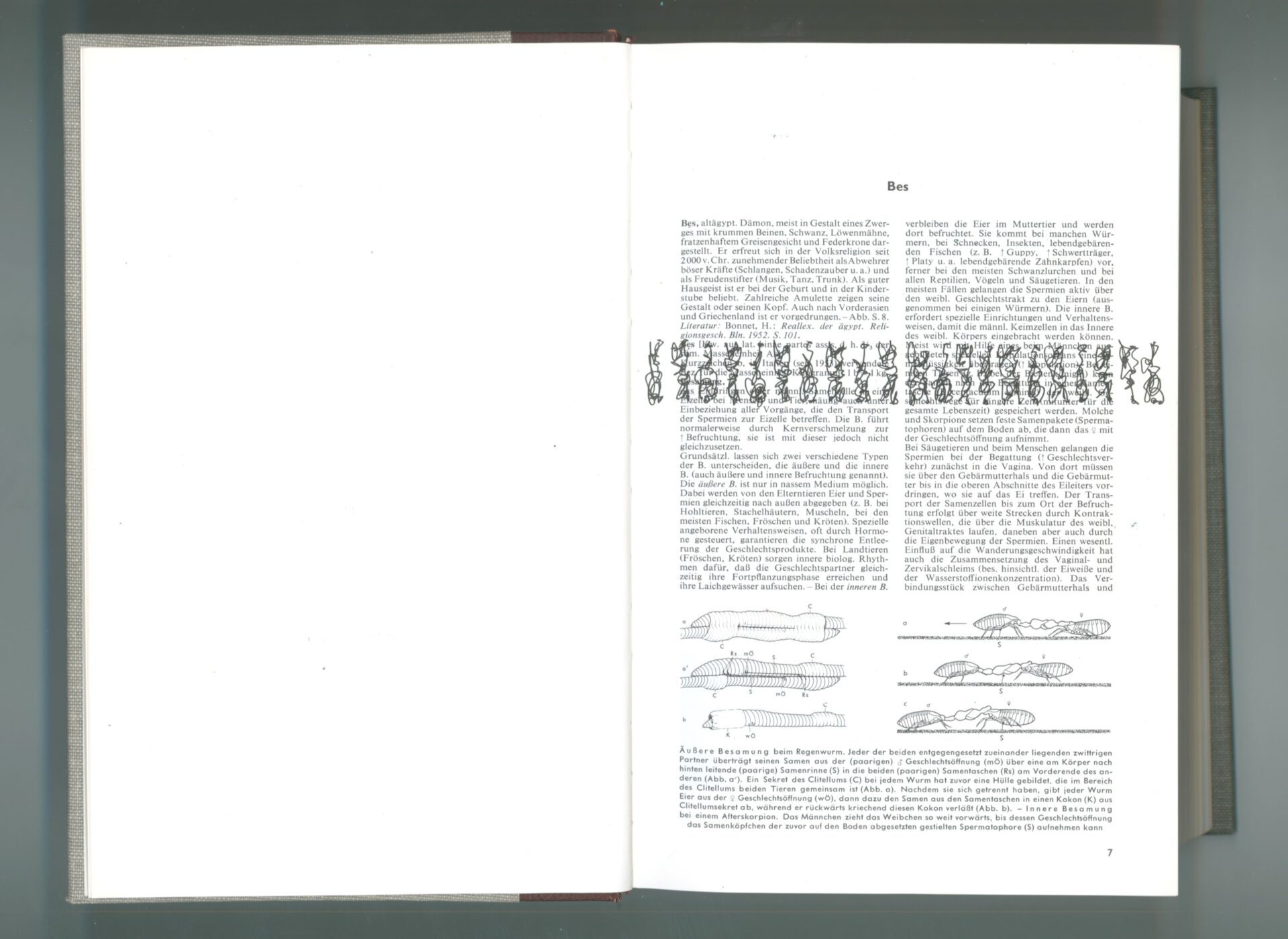 2023-08-13-16-33-6-01